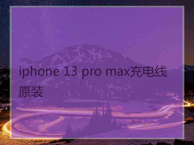 iphone 13 pro max充电线原装