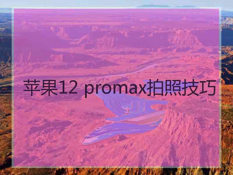 苹果12 promax拍照技巧