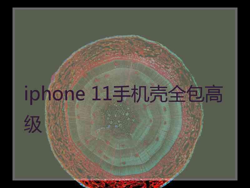 iphone 11手机壳全包高级