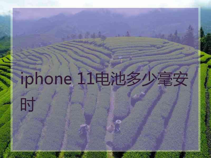 iphone 11电池多少毫安时