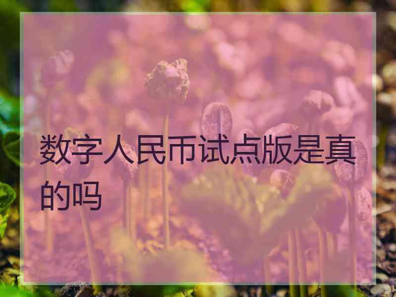 数字人民币试点版是真的吗