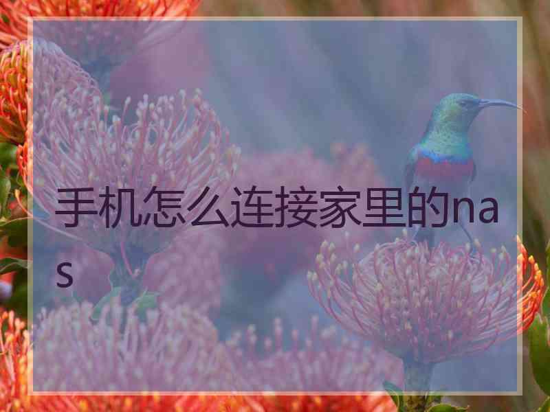 手机怎么连接家里的nas