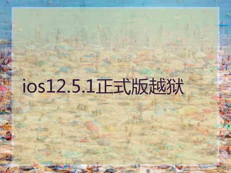 ios12.5.1正式版越狱