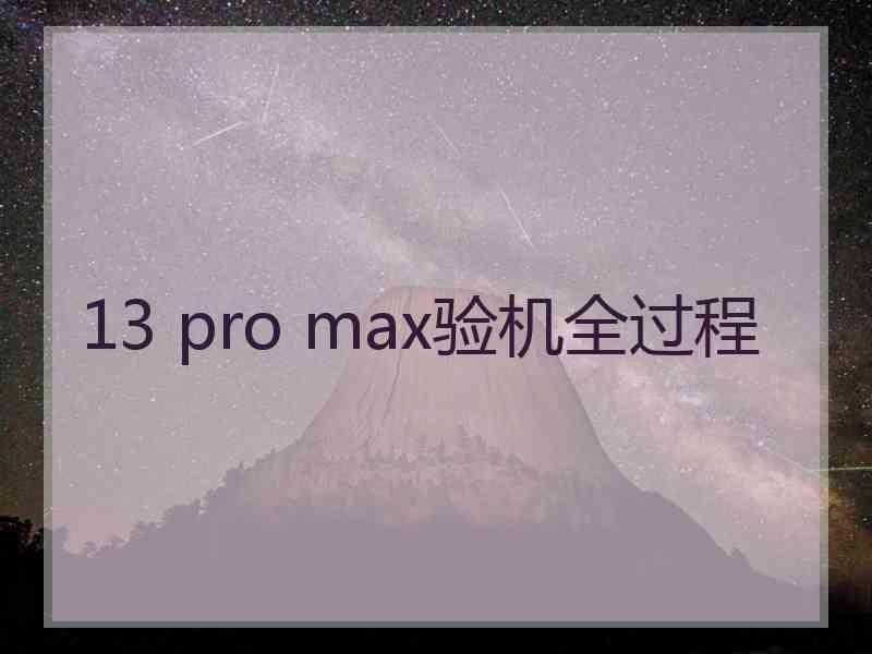 13 pro max验机全过程