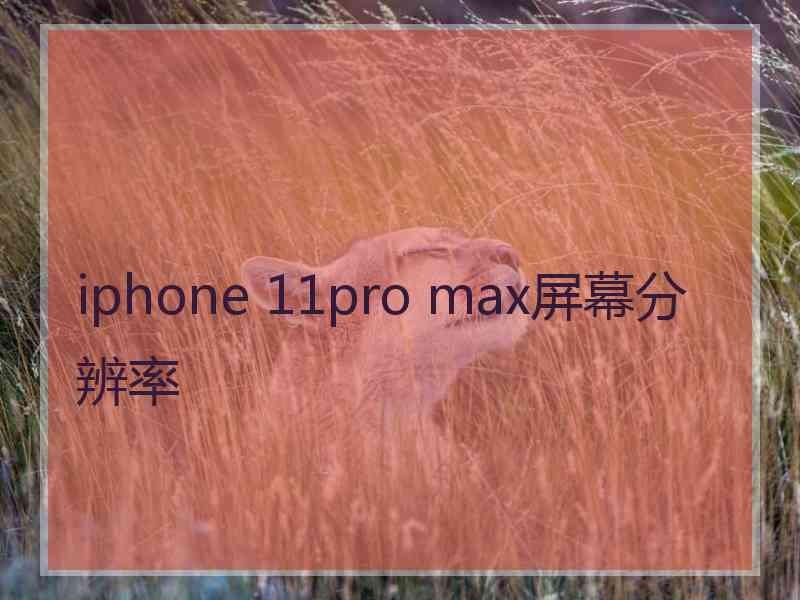 iphone 11pro max屏幕分辨率