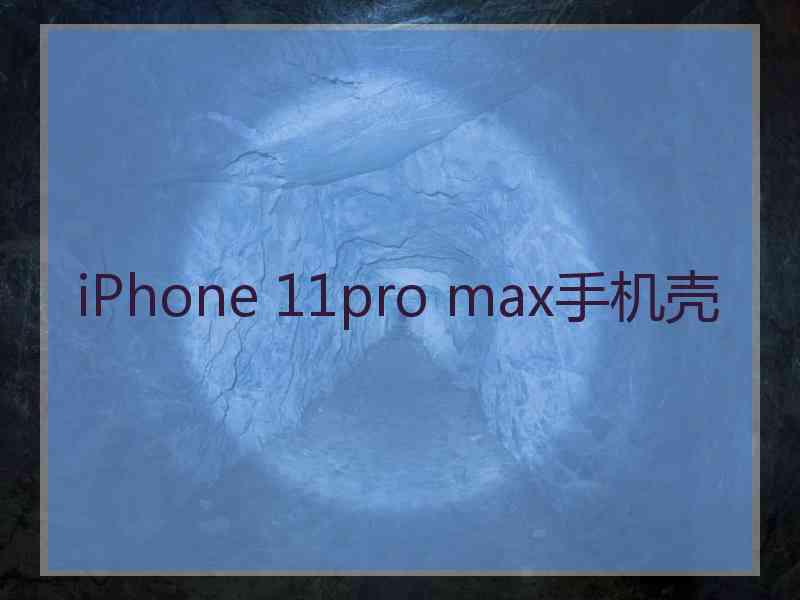 iPhone 11pro max手机壳