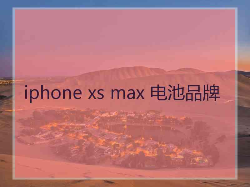 iphone xs max 电池品牌