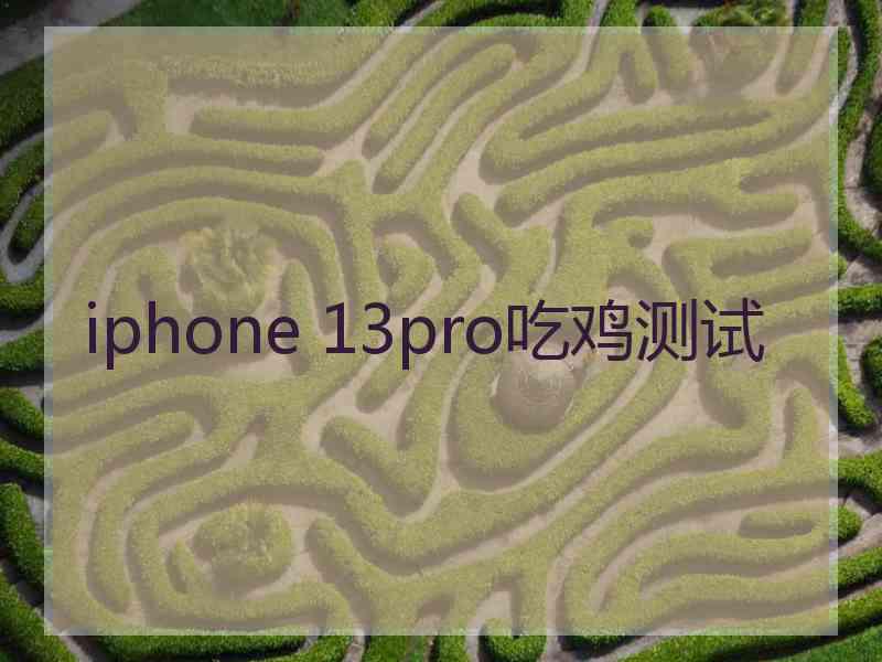 iphone 13pro吃鸡测试