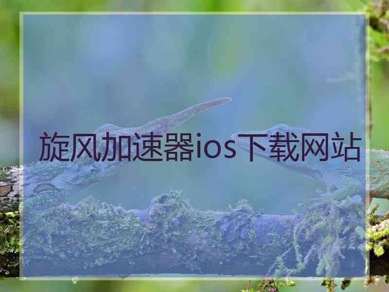 旋风加速器ios下载网站