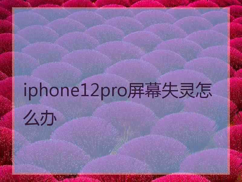 iphone12pro屏幕失灵怎么办