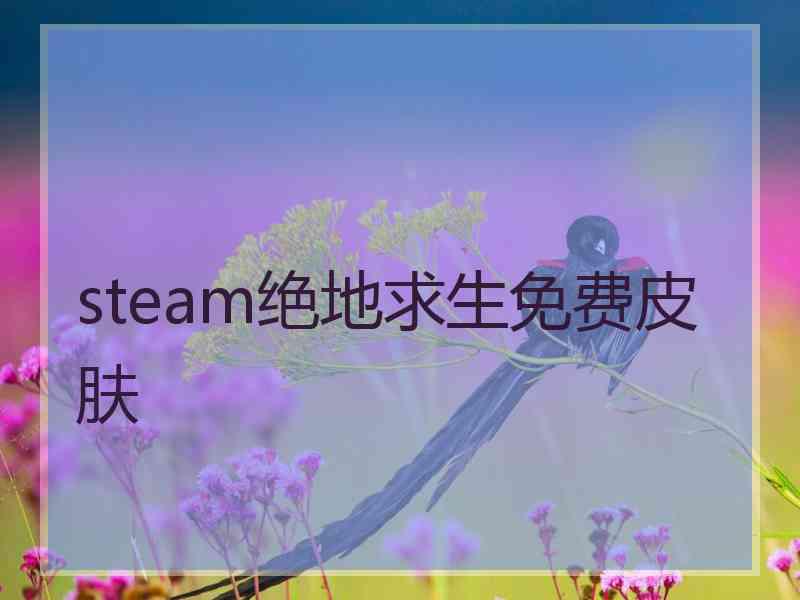 steam绝地求生免费皮肤