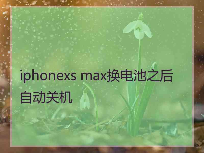 iphonexs max换电池之后自动关机