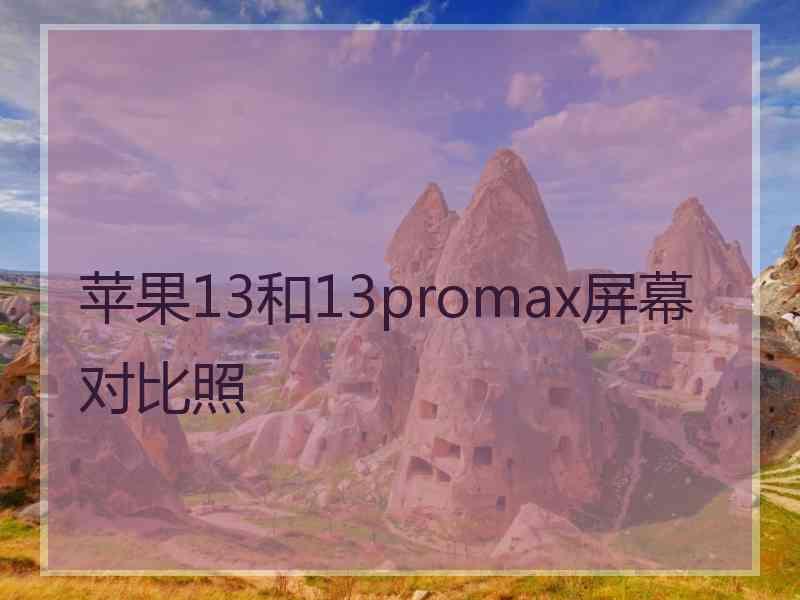 苹果13和13promax屏幕对比照