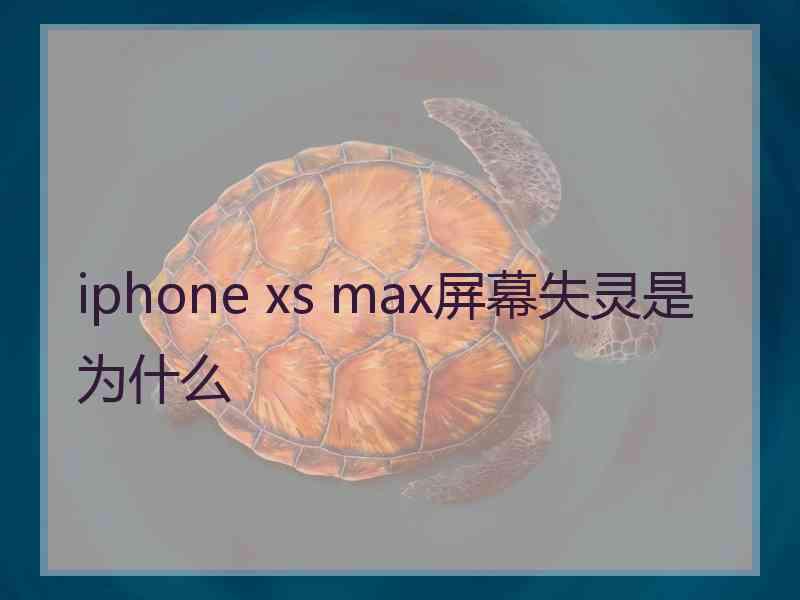 iphone xs max屏幕失灵是为什么