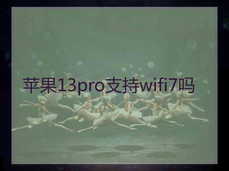 苹果13pro支持wifi7吗