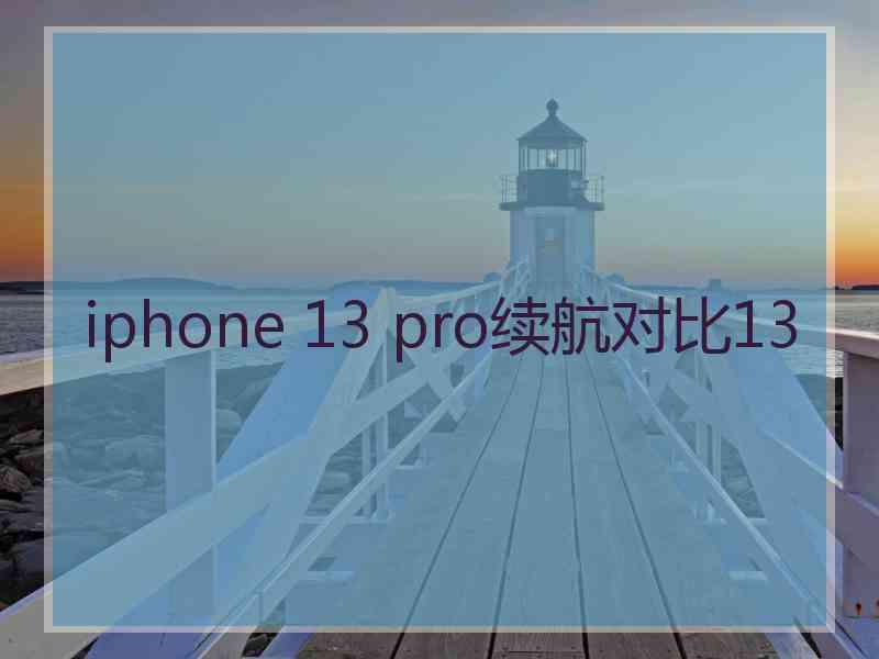 iphone 13 pro续航对比13