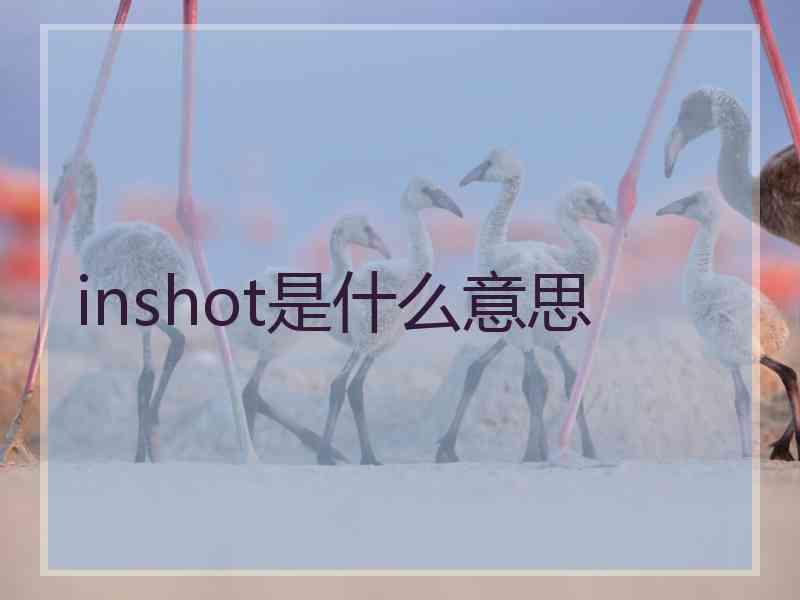 inshot是什么意思