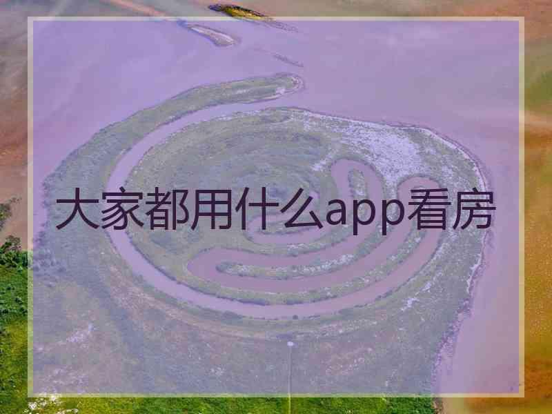 大家都用什么app看房