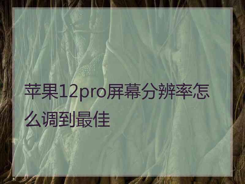 苹果12pro屏幕分辨率怎么调到最佳