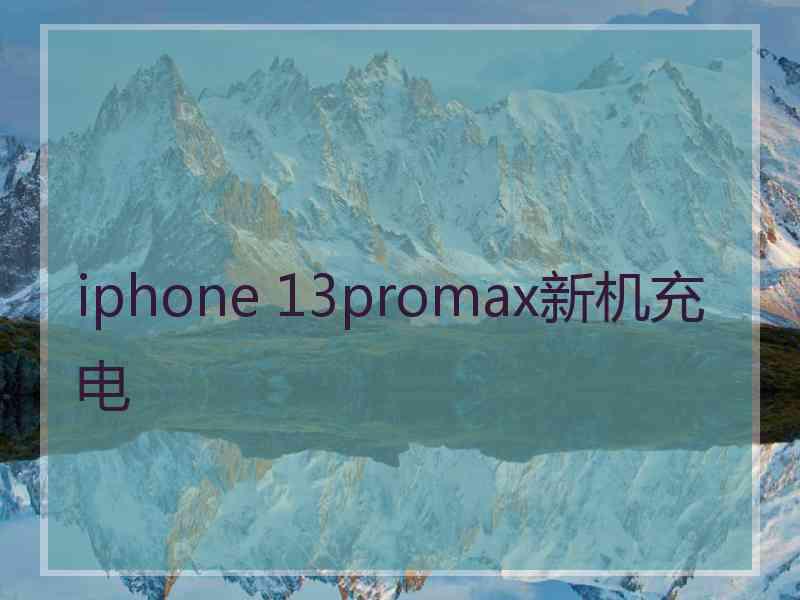 iphone 13promax新机充电