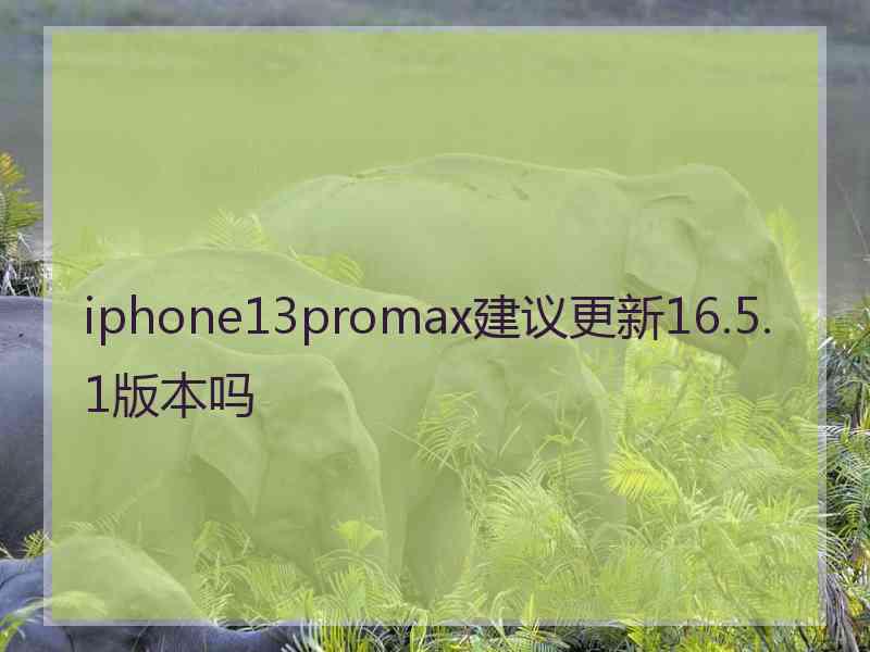 iphone13promax建议更新16.5.1版本吗