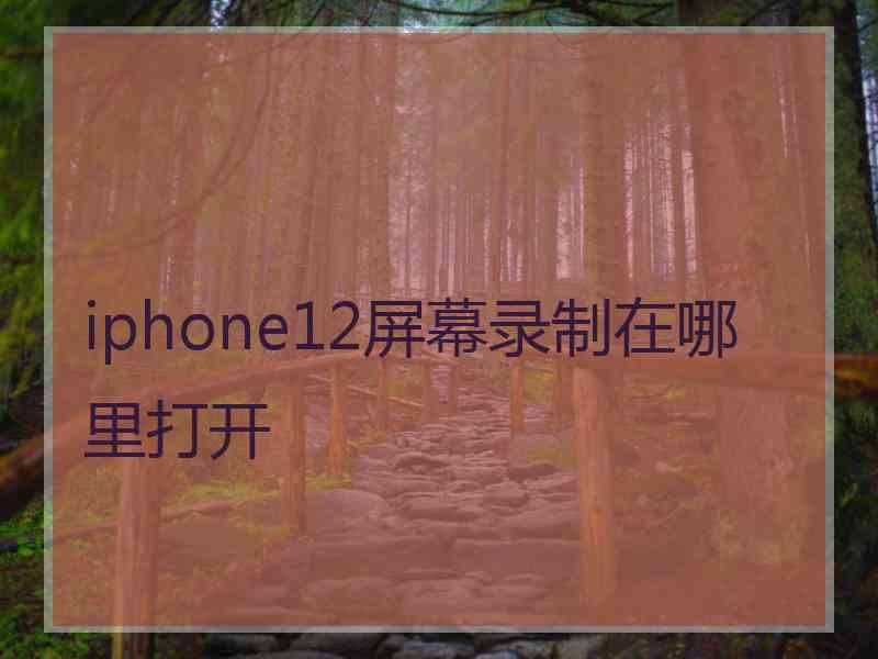 iphone12屏幕录制在哪里打开