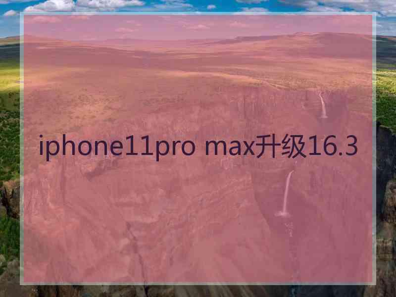 iphone11pro max升级16.3