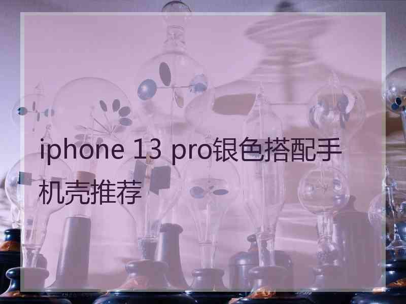 iphone 13 pro银色搭配手机壳推荐