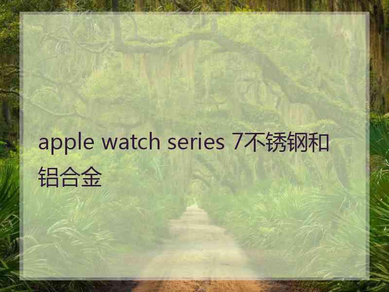 apple watch series 7不锈钢和铝合金