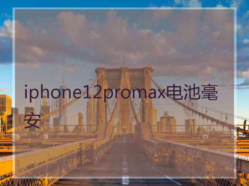 iphone12promax电池毫安