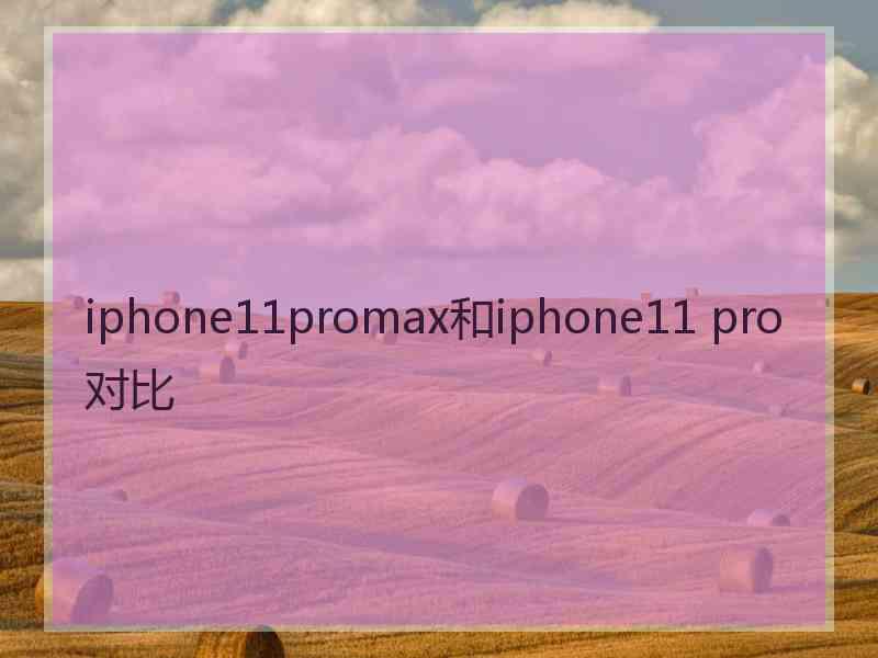 iphone11promax和iphone11 pro对比