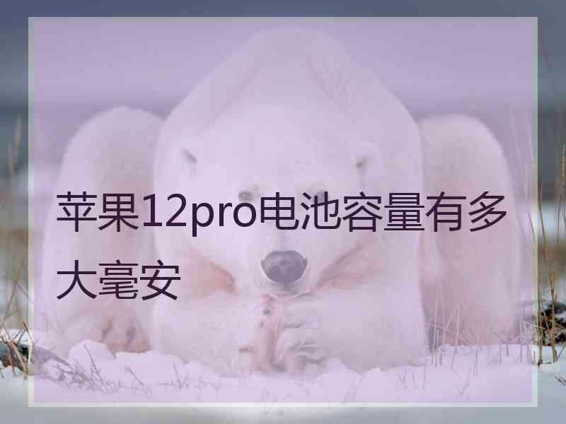 苹果12pro电池容量有多大毫安