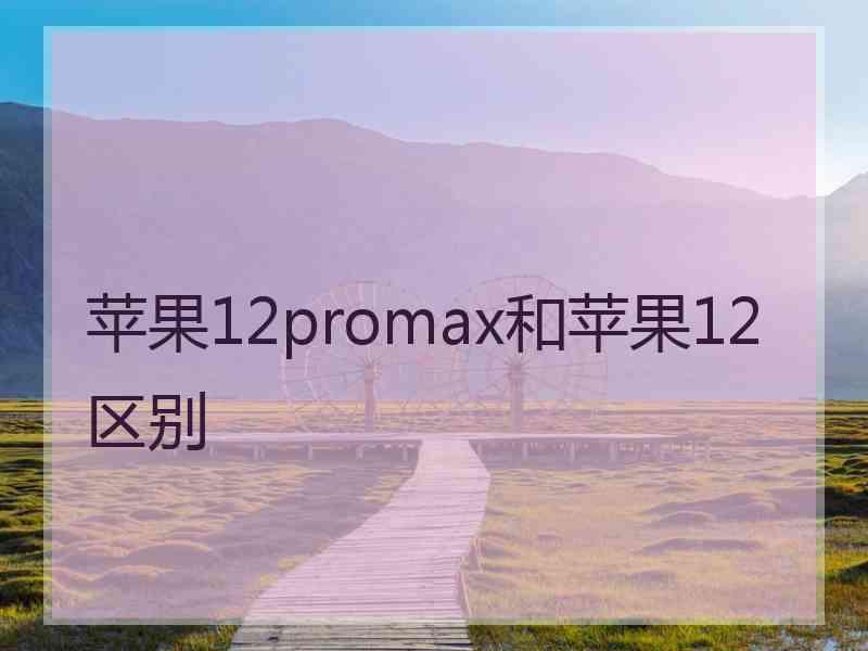 苹果12promax和苹果12区别