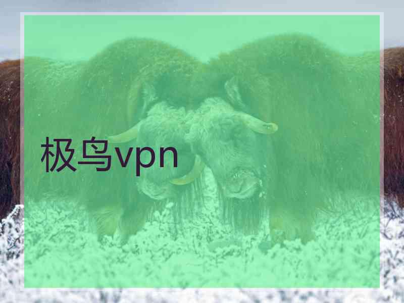 极鸟vpn