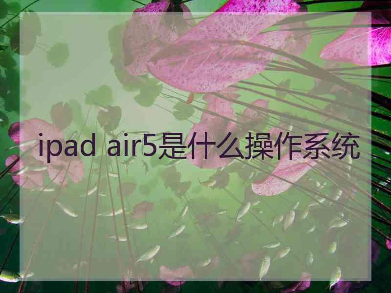 ipad air5是什么操作系统