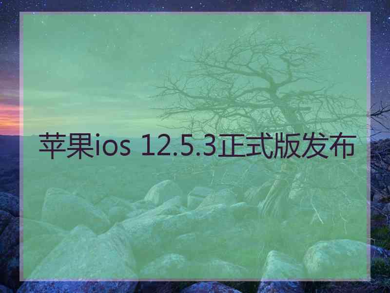 苹果ios 12.5.3正式版发布