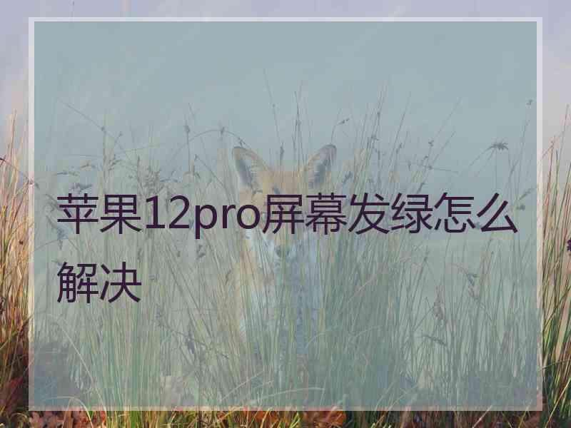 苹果12pro屏幕发绿怎么解决