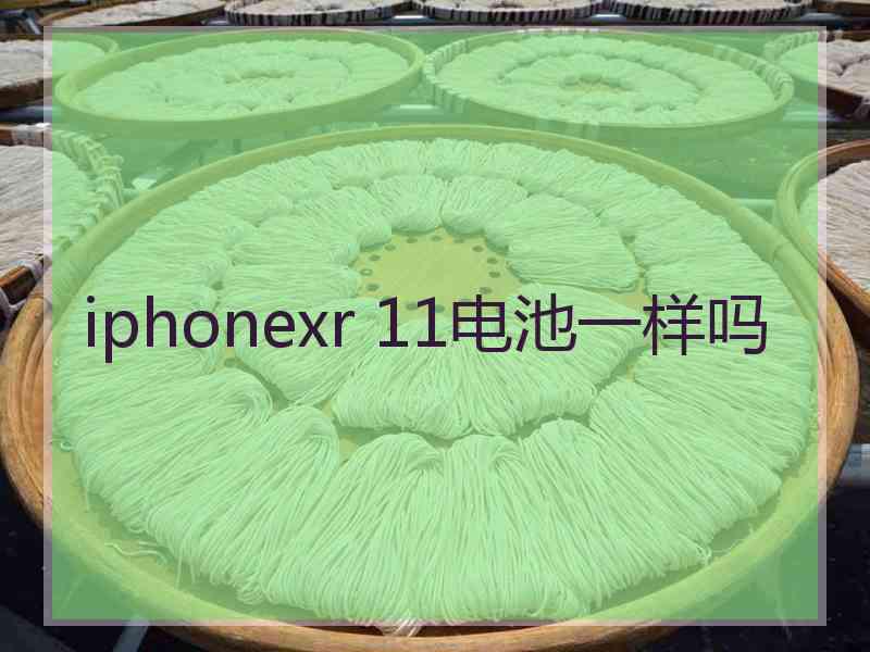 iphonexr 11电池一样吗