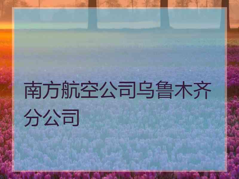 南方航空公司乌鲁木齐分公司