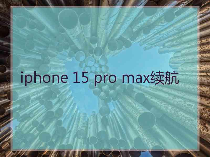 iphone 15 pro max续航