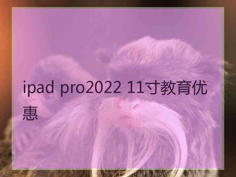 ipad pro2022 11寸教育优惠