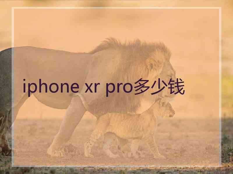 iphone xr pro多少钱