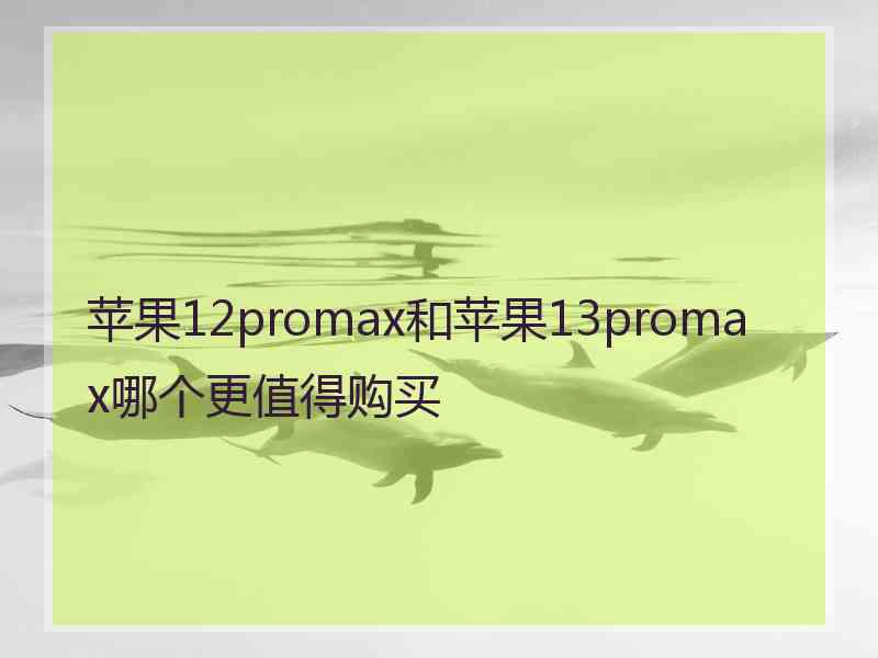 苹果12promax和苹果13promax哪个更值得购买