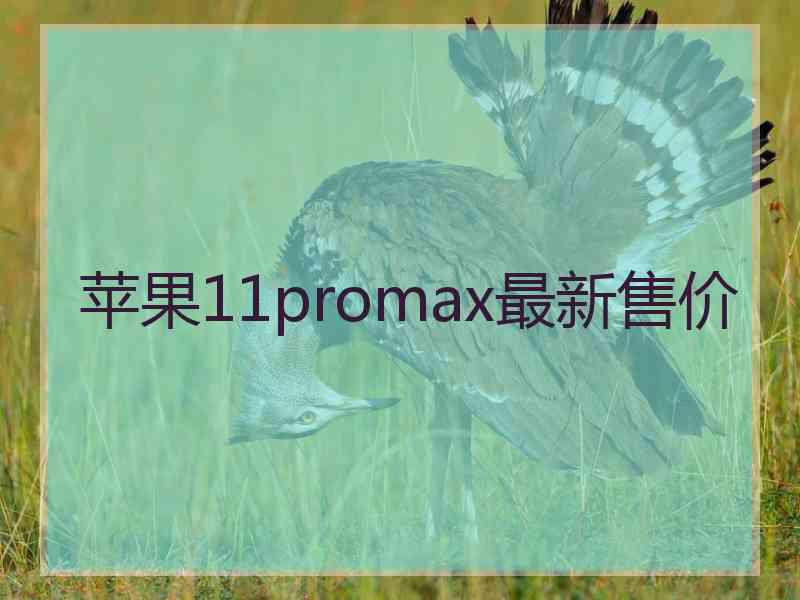 苹果11promax最新售价