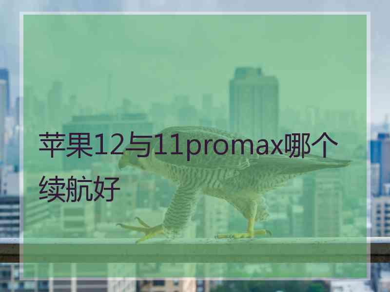 苹果12与11promax哪个续航好