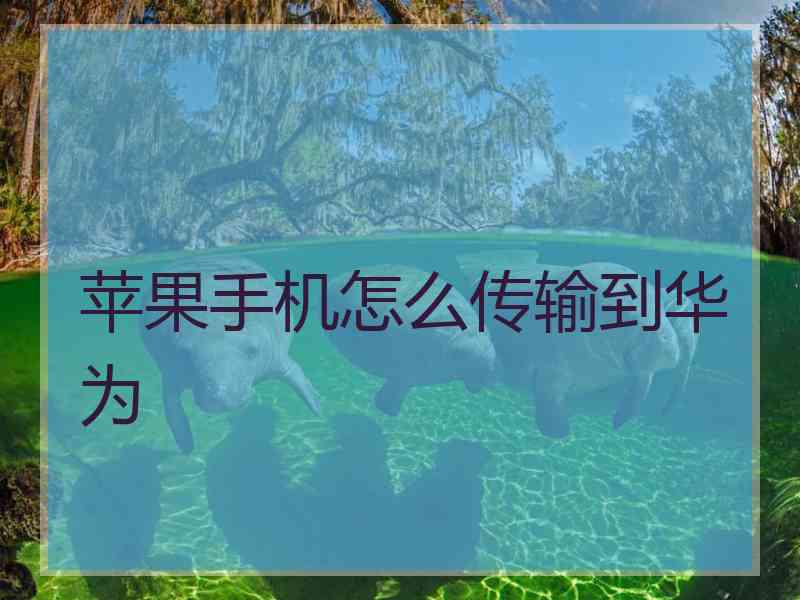 苹果手机怎么传输到华为