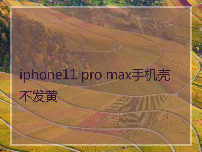 iphone11 pro max手机壳不发黄