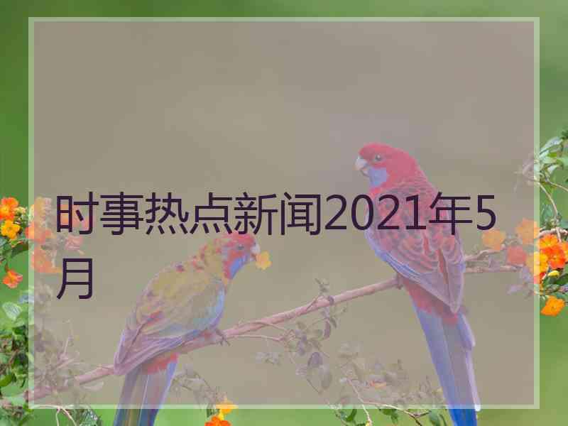 时事热点新闻2021年5月