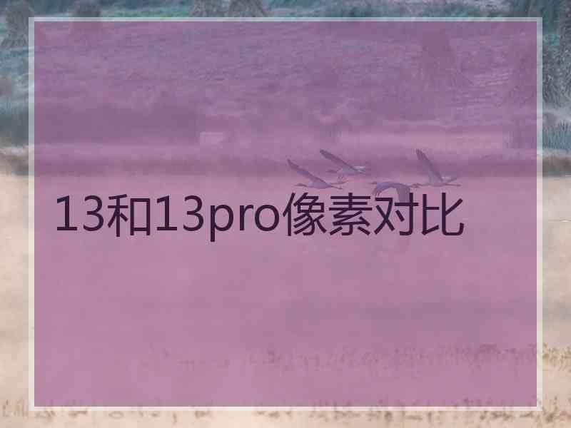 13和13pro像素对比