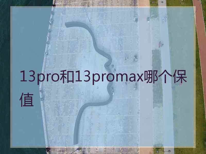 13pro和13promax哪个保值